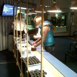 Henry Ford Museum - Katie and James on sample assembly line