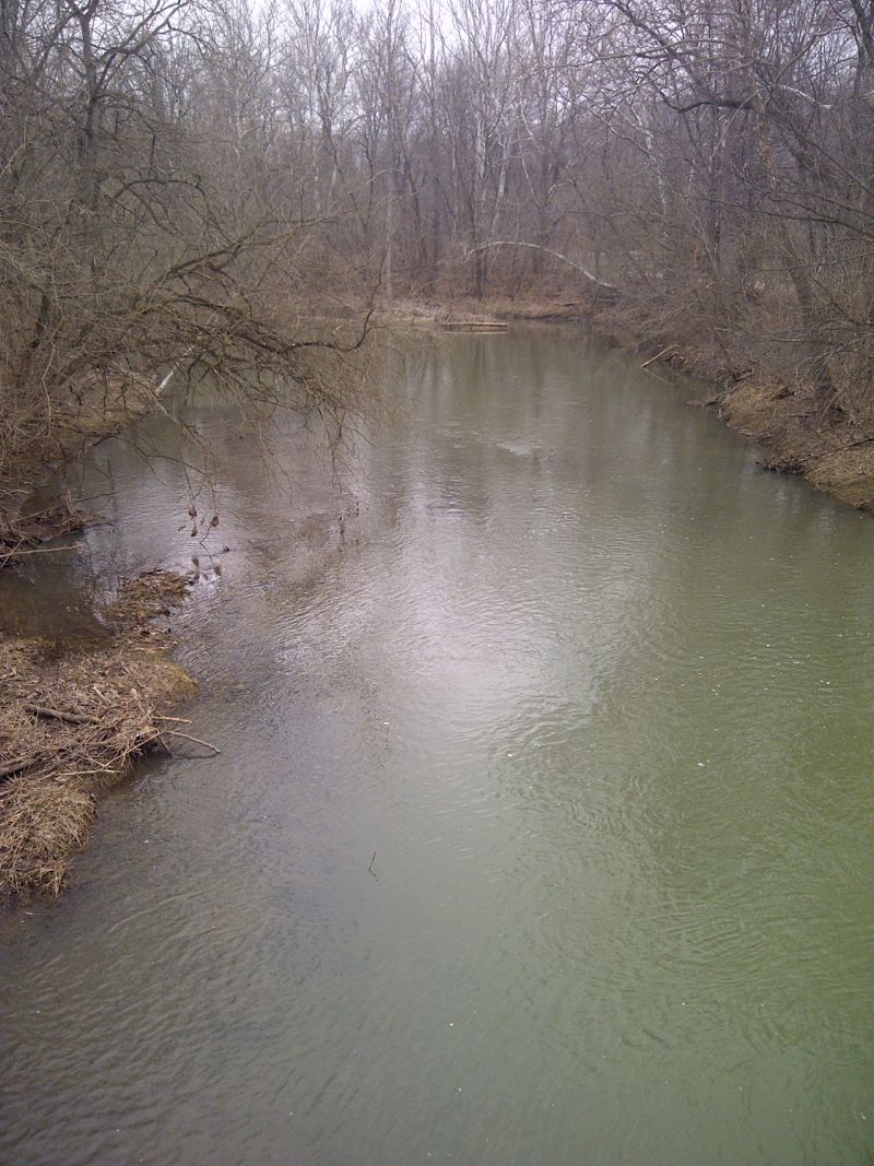 Anderson Fork at Mc Kay Road (east)