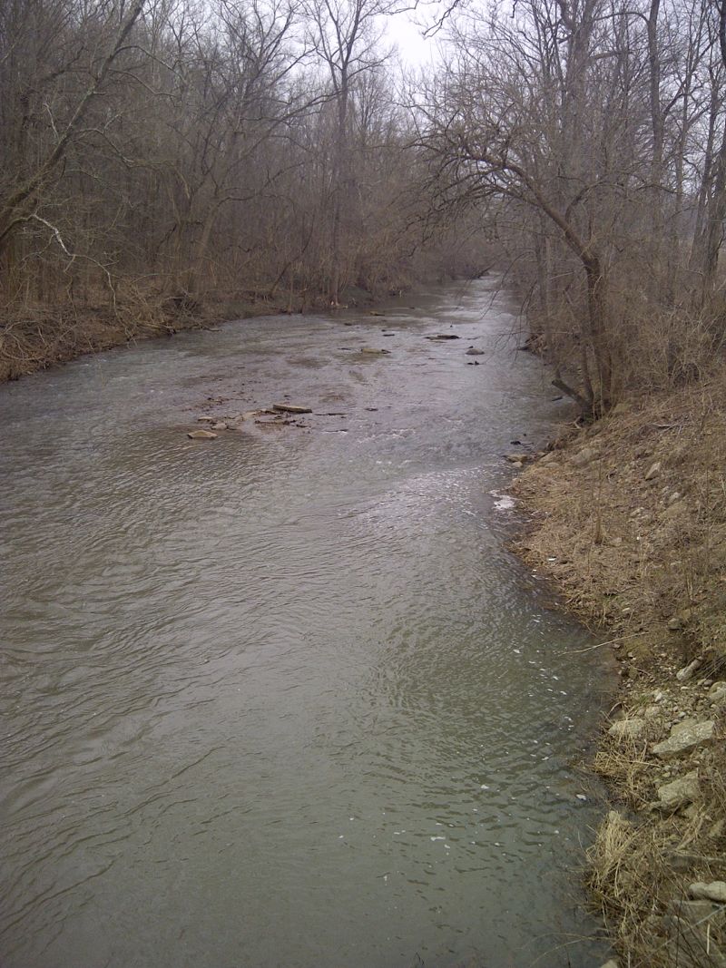 Anderson Fork at Mc Kay Road (west)