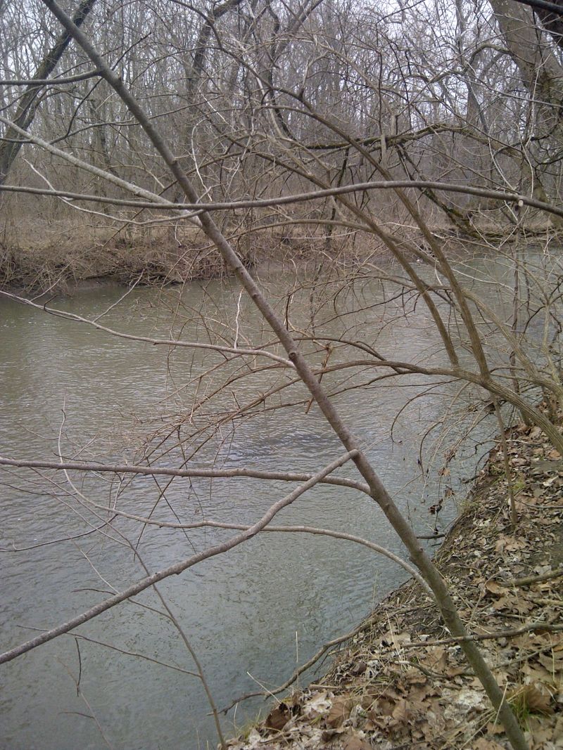 Anderson Fork at Engle Mill bridge (east)