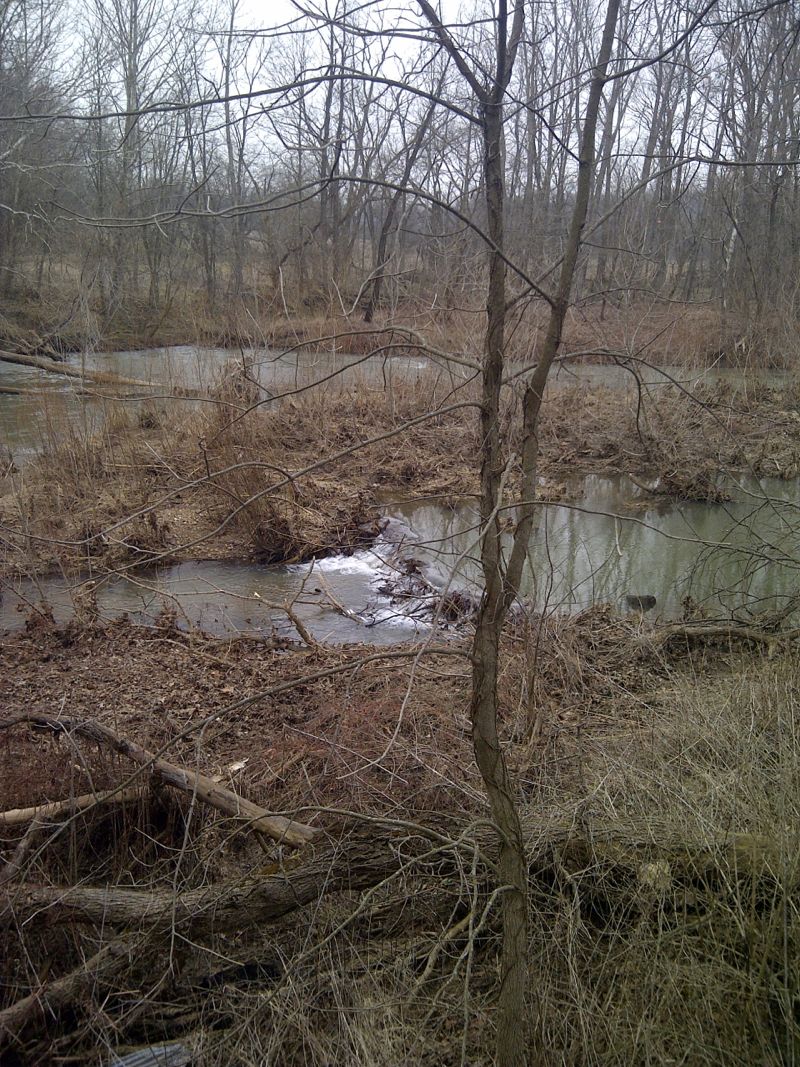 Anderson Fork at Engle Mill bridge (east)