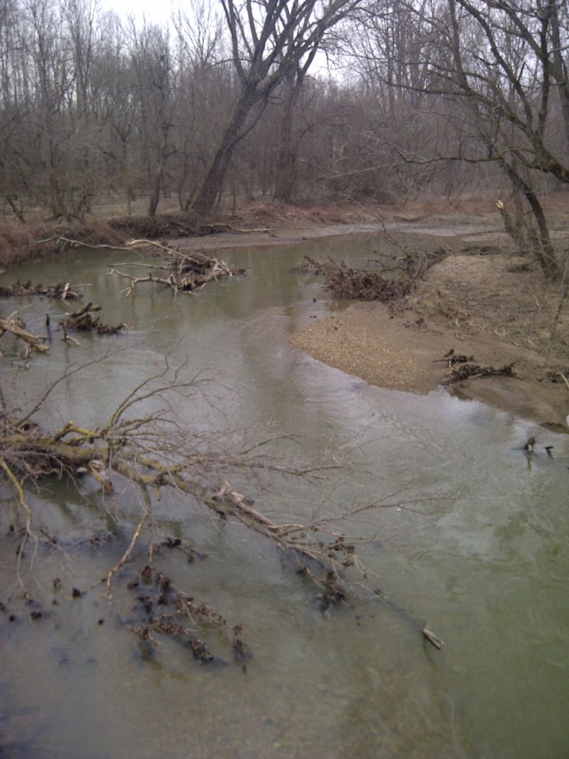 Anderson Fork at old New Burlington town bridge (east)