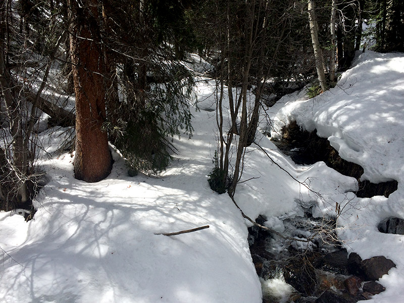 Frisco, CO hike